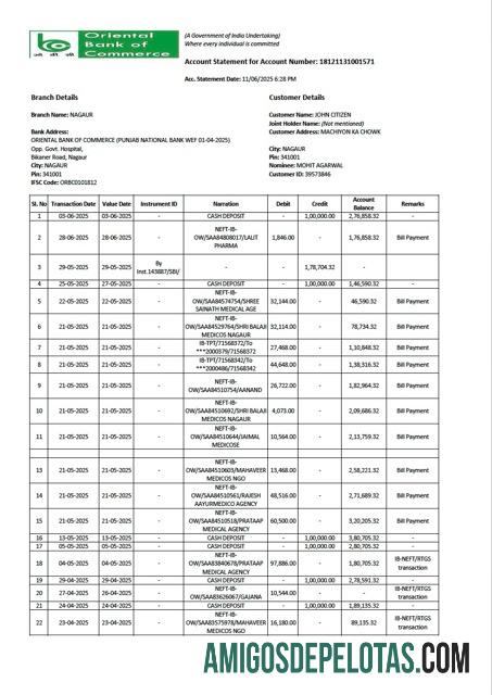 em branco India Oriental Bank Of Commerce Extrato de conta modelo Word e PDF